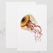 jellyfish (Front/Back)