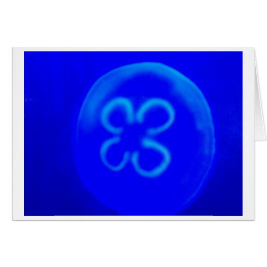 Jellyfish (Front Horizontal)