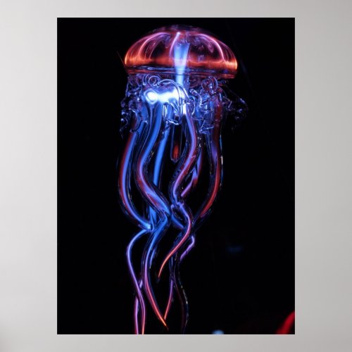 jellyfish_113384 AMAZING PHOTOGRAPHY SEALIFE jelly Poster