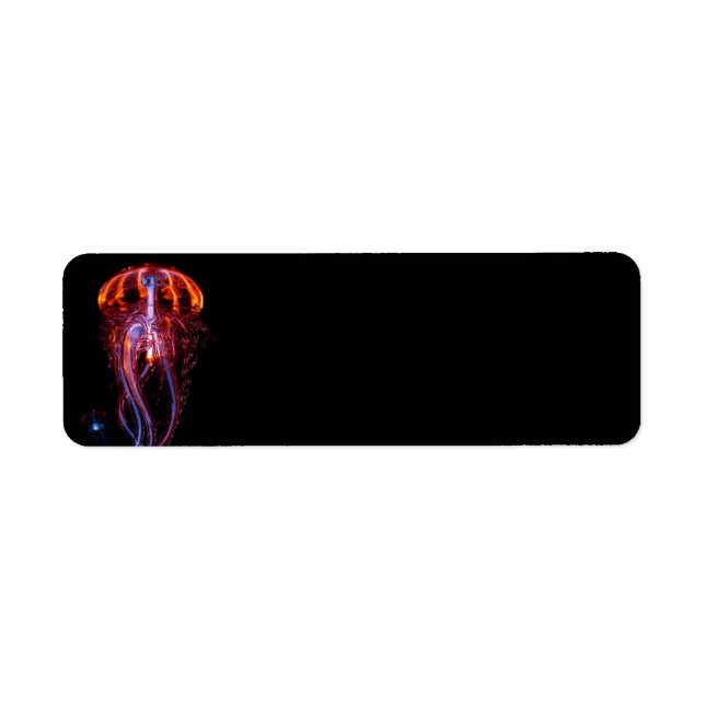 jellyfish-113386 BEAUTIFUL OCEAN SEA CREATURE JELL Label (Front)