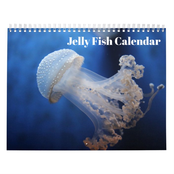 Jellyfish 2021 calendar