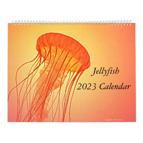Jellyfish 2023 Calendar