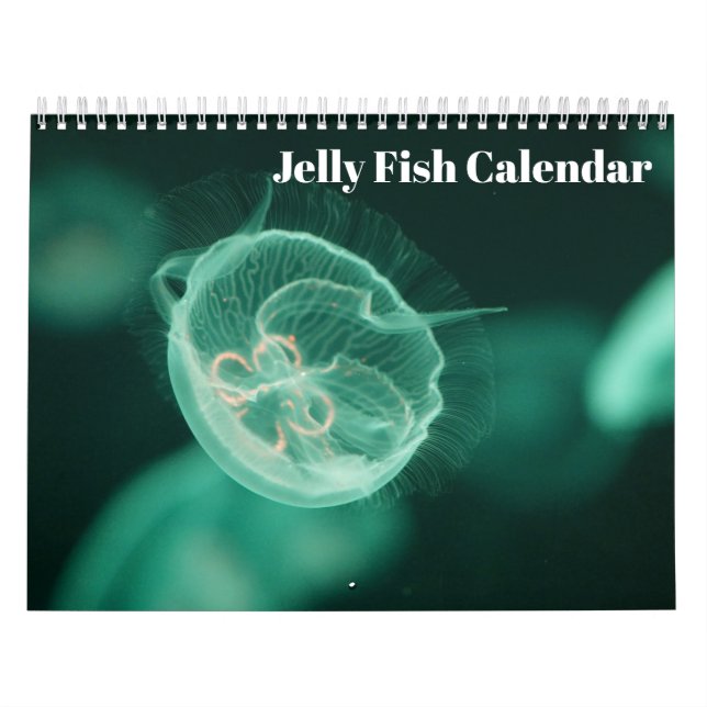 Jellyfish 2026 calendar (Cover)