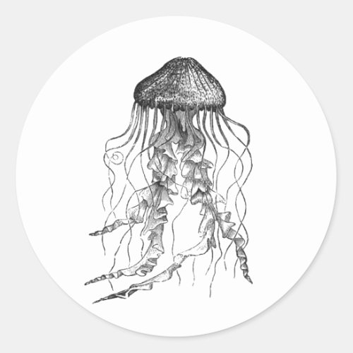 Jellyfish Black and White Pencil Drawing Sketch Classic Round Sticker
