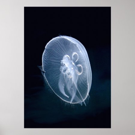 Jellyfish Bright Translucent Blue Portrait Poster