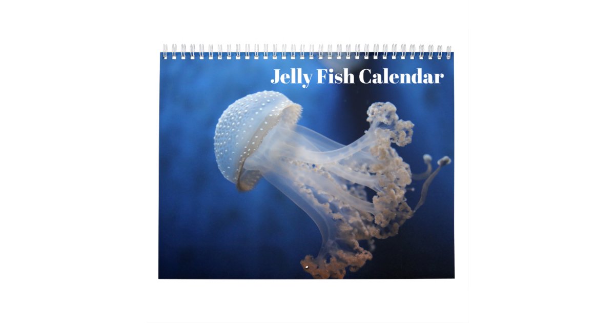 Jellyfish Calendar Zazzle