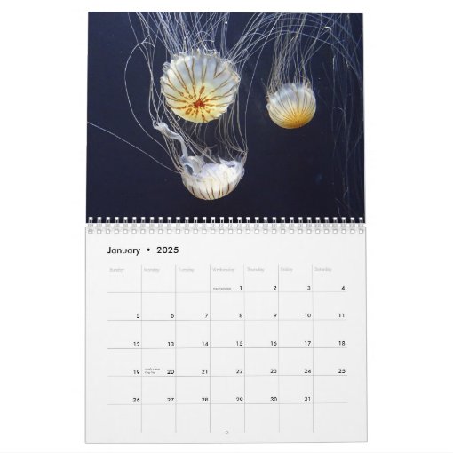 Jellyfish Calendar Zazzle