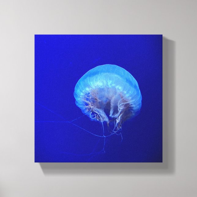 Jellyfish Canvas Print (Front)