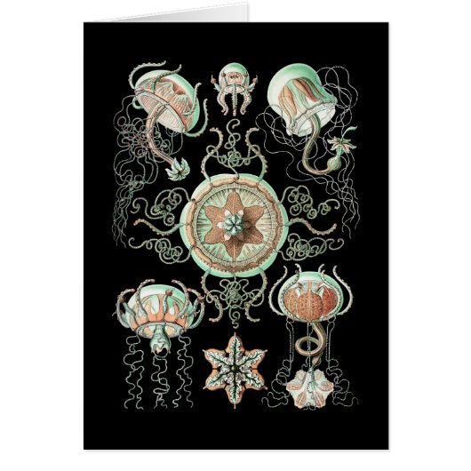 Jellyfish Cards (Front)