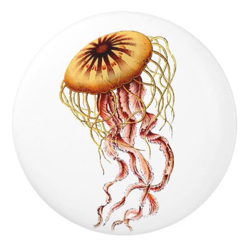 Jellyfish Ceramic Knob