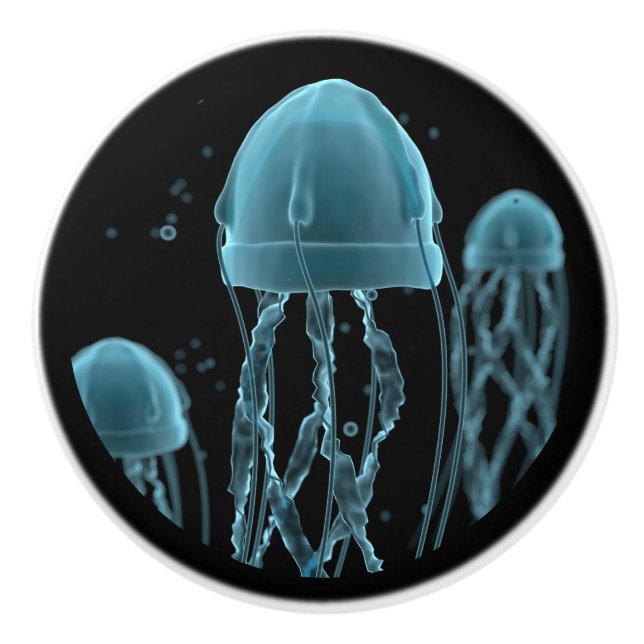 Jellyfish Ceramic Knob (Front)