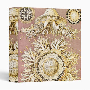 Jellyfish, Discomedusae by Ernst Haeckel 3 Ring Binder