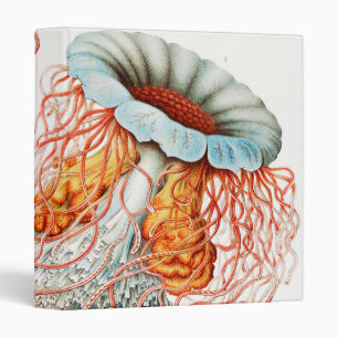 Jellyfish, Discomedusae by Ernst Haeckel 3 Ring Binder