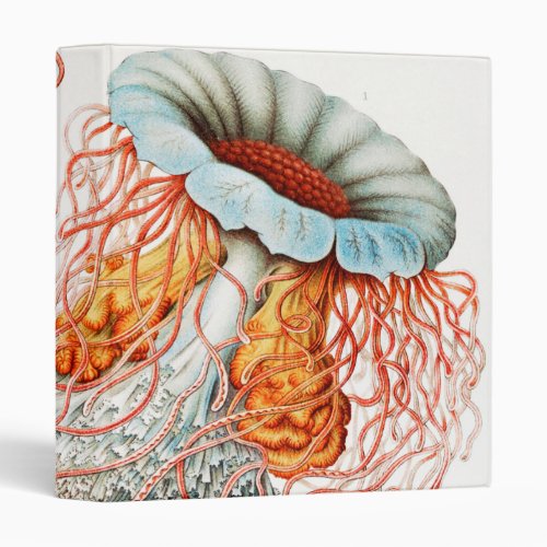 Jellyfish Discomedusae by Ernst Haeckel 3 Ring Binder