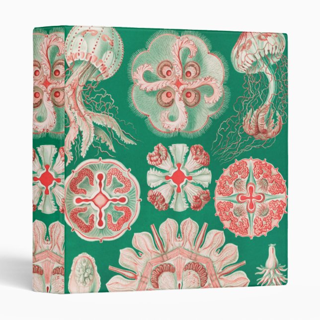 Jellyfish, Discomedusae by Ernst Haeckel 3 Ring Binder (Front/Spine)