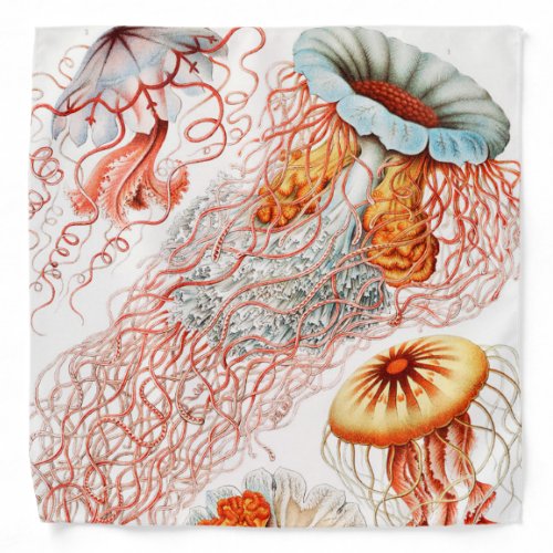 Jellyfish Discomedusae by Ernst Haeckel Bandana