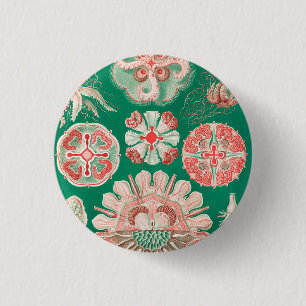 Jellyfish, Discomedusae by Ernst Haeckel Button