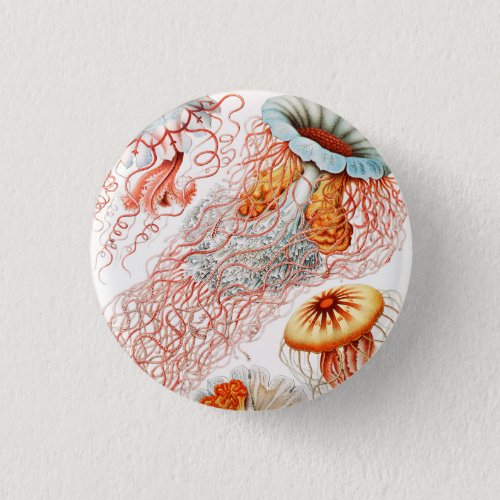 Jellyfish Discomedusae by Ernst Haeckel Button