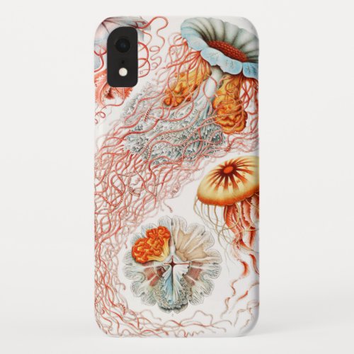 Jellyfish Discomedusae  by Ernst Haeckel iPhone XR Case