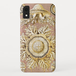 Jellyfish, Discomedusae  by Ernst Haeckel iPhone XR Case