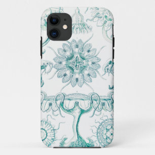 Jellyfish, Discomedusae  by Ernst Haeckel iPhone 11 Case