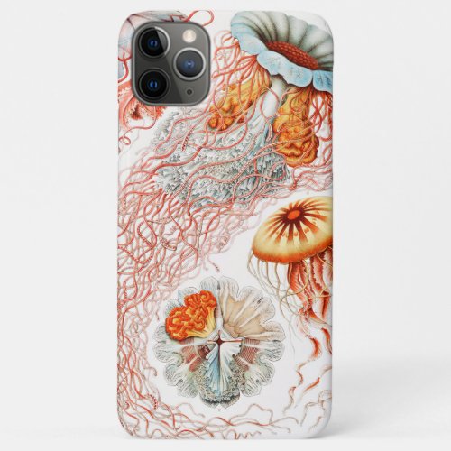 Jellyfish Discomedusae  by Ernst Haeckel iPhone 11 Pro Max Case