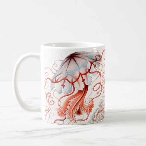 Jellyfish Discomedusae by Ernst Haeckel Coffee Mug