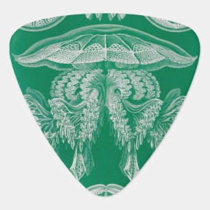 Jellyfish, Discomedusae  by Ernst Haeckel Guitar Pick