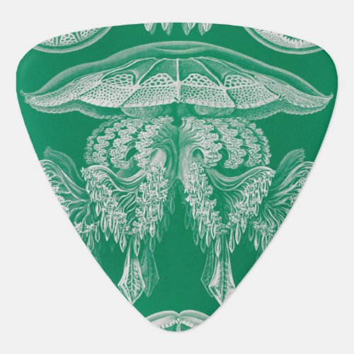 Jellyfish Discomedusae  by Ernst Haeckel Guitar Pick