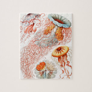 Jellyfish, Discomedusae by Ernst Haeckel Jigsaw Puzzle