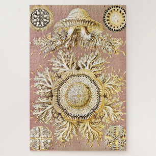 Jellyfish, Discomedusae by Ernst Haeckel Jigsaw Puzzle