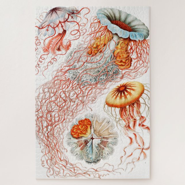 Jellyfish, Discomedusae by Ernst Haeckel Jigsaw Puzzle (Vertical)
