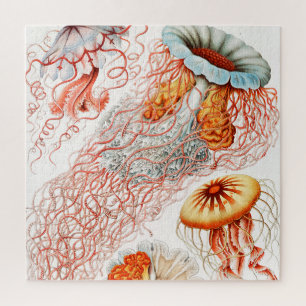 Jellyfish, Discomedusae by Ernst Haeckel Jigsaw Puzzle