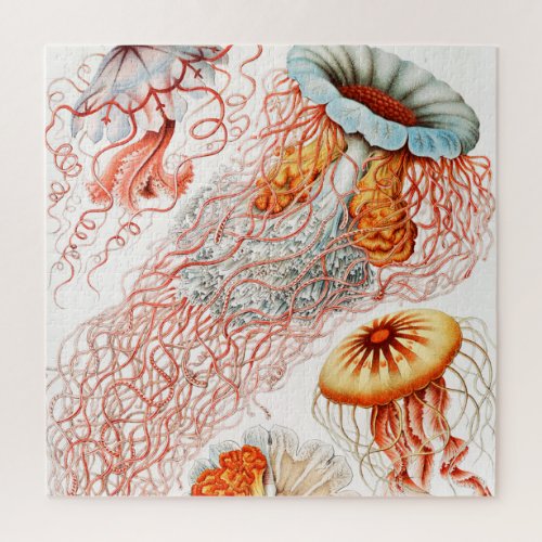 Jellyfish Discomedusae by Ernst Haeckel Jigsaw Puzzle