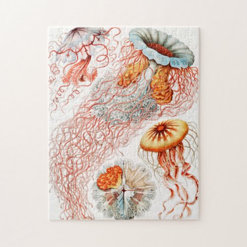 Jellyfish Discomedusae by Ernst Haeckel Jigsaw Puzzle