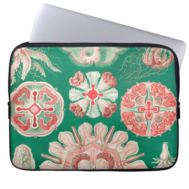 Jellyfish, Discomedusae by Ernst Haeckel Laptop Sleeve (Front)