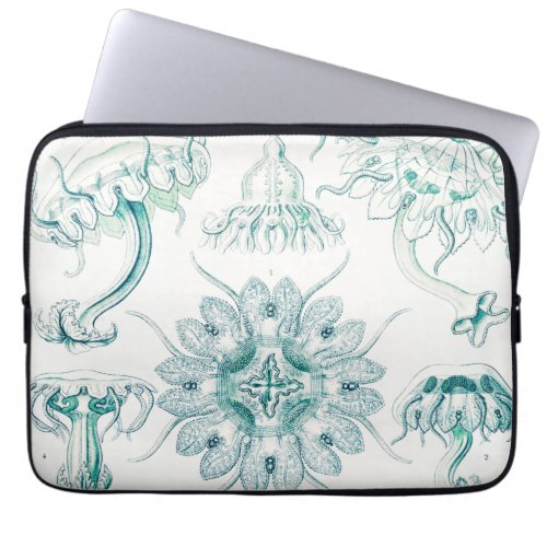 Jellyfish Discomedusae by Ernst Haeckel Laptop Sleeve