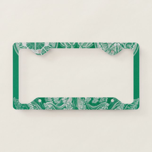 Jellyfish, Discomedusae by Ernst Haeckel License Plate Frame (Front)
