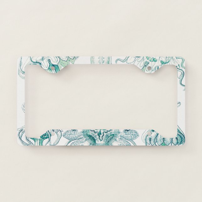 Jellyfish, Discomedusae by Ernst Haeckel License Plate Frame (Front)
