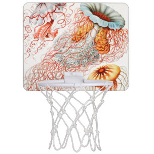 Jellyfish, Discomedusae by Ernst Haeckel Mini Basketball Hoop
