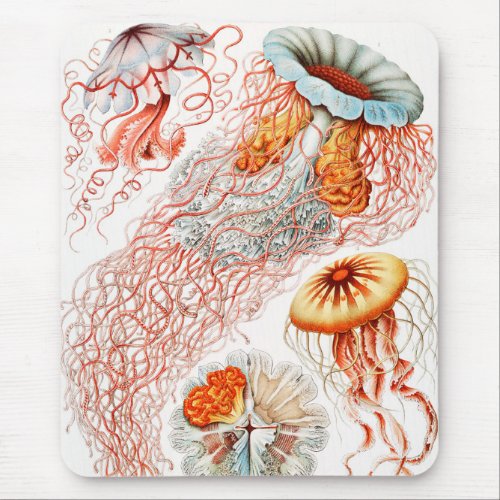 Jellyfish Discomedusae by Ernst Haeckel Mouse Pad