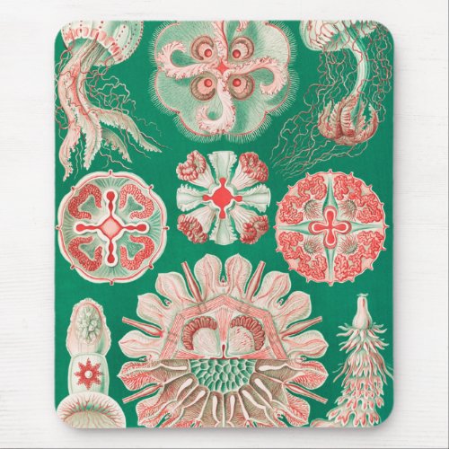 Jellyfish Discomedusae by Ernst Haeckel Mouse Pad