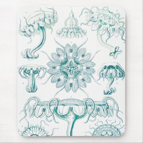 Jellyfish Discomedusae by Ernst Haeckel Mouse Pad