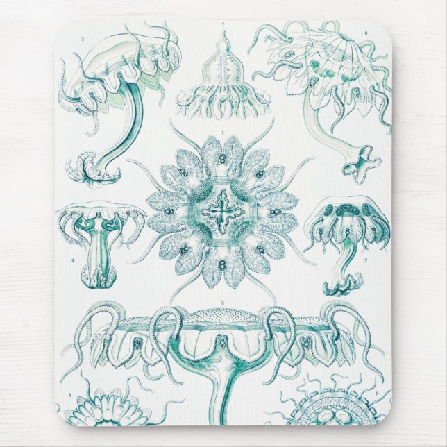Jellyfish, Discomedusae by Ernst Haeckel Mouse Pad (Front)