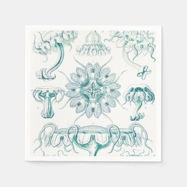 Jellyfish, Discomedusae by Ernst Haeckel Napkins (Front)