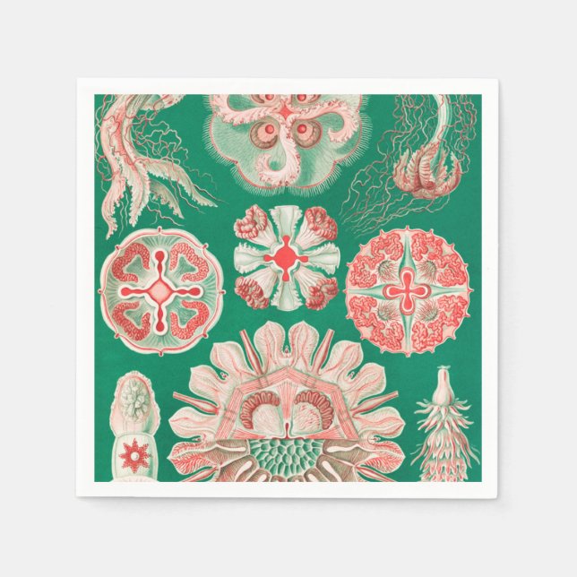 Jellyfish, Discomedusae by Ernst Haeckel Napkins (Front)