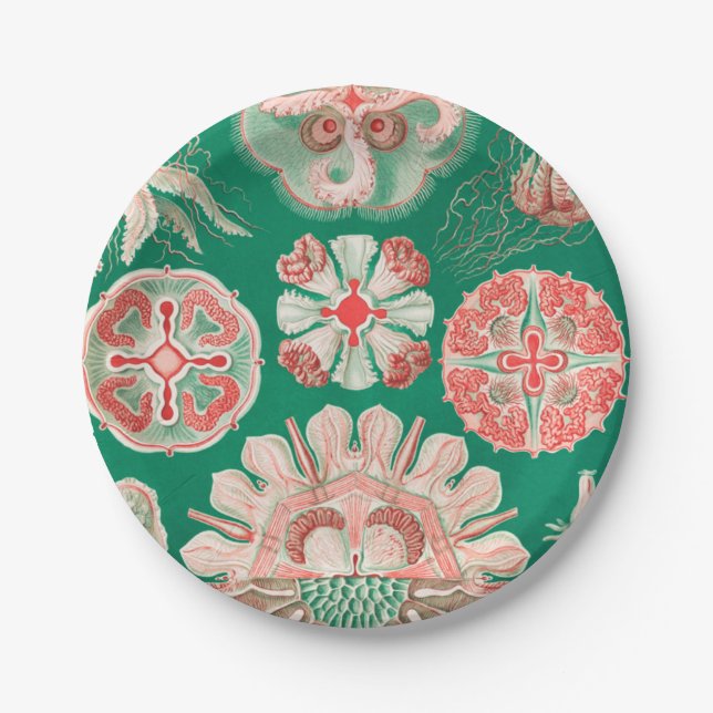 Jellyfish, Discomedusae by Ernst Haeckel Paper Plates (Front)