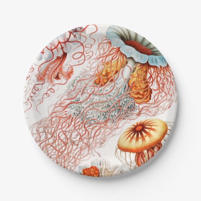 Jellyfish, Discomedusae by Ernst Haeckel Paper Plates (Front)