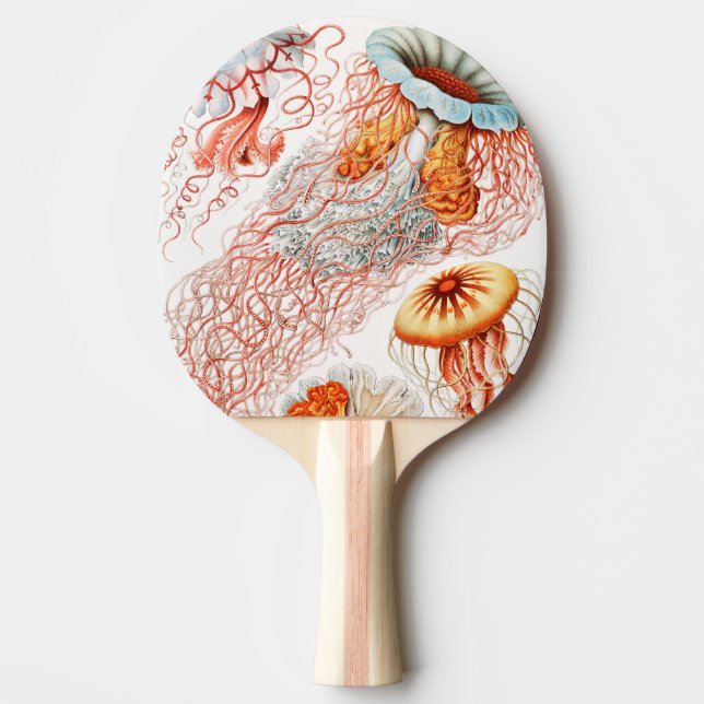 Jellyfish, Discomedusae by Ernst Haeckel Ping Pong Paddle (Front)