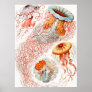 Jellyfish, Discomedusae by Ernst Haeckel Poster